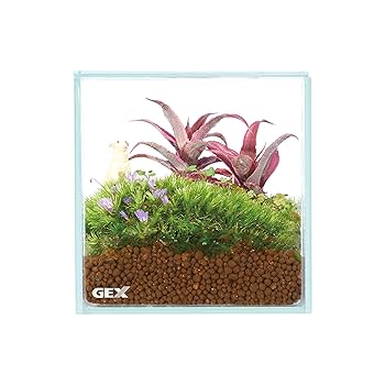 Amazon | GEX AQUARIUM グラステリアフィット100CUBE ガラスフタ